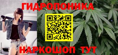 гашик Канаш