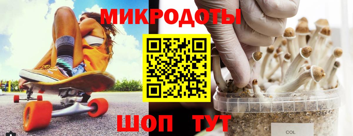 Псилоцибиновые грибы прущие грибы  Вход с VPN  Красноярск 