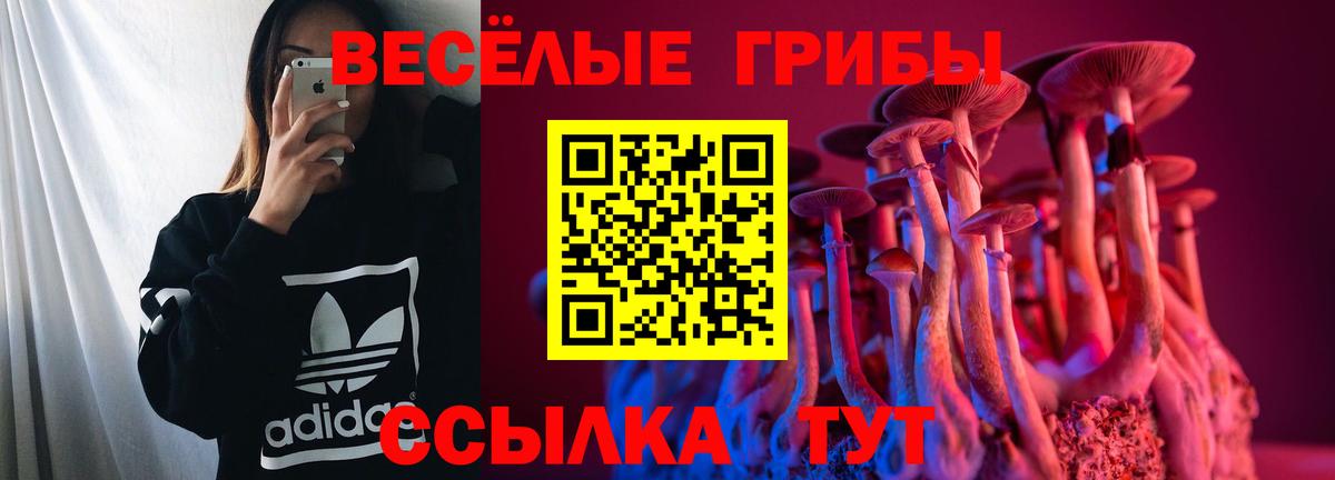 Галлюциногенные грибы MAGIC MUSHROOMS Красноярск