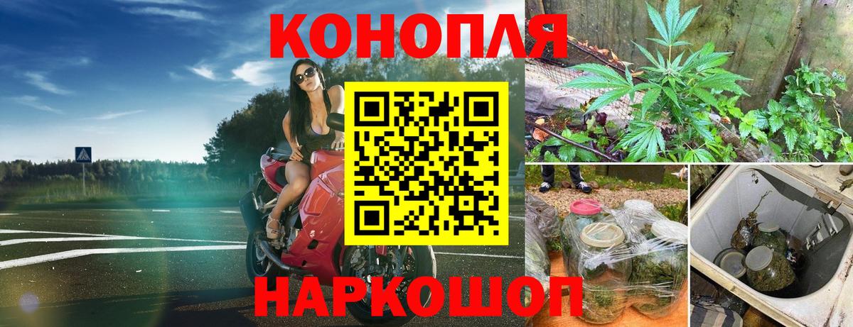 Конопля ГИДРОПОН  Марихуана OG Kush  Марихуана планчик  Красноярск  Каннабис Amnesia  Вход с VPN 